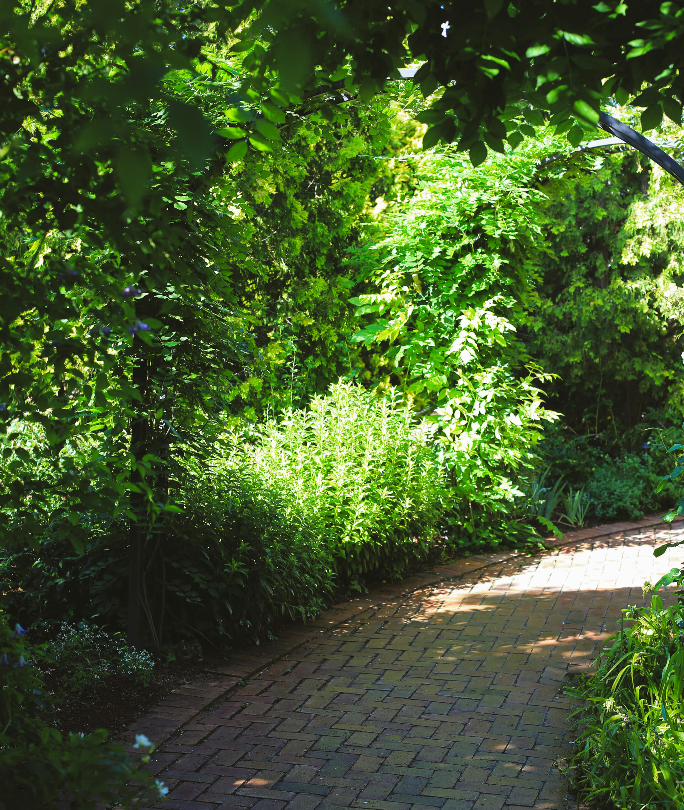 Pflasterweg im Garten